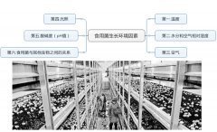 食用菌工厂化需要控制的六大环境因素